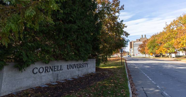 Cornell. Divulgadas mensagens sobre a alegada violação