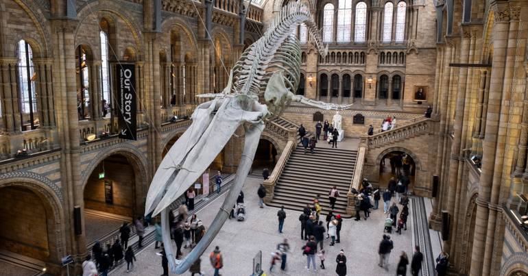Inglaterra mantém museus gratuitos para turistas