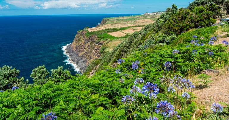 Açores alarga promoção dos produtos regionais
