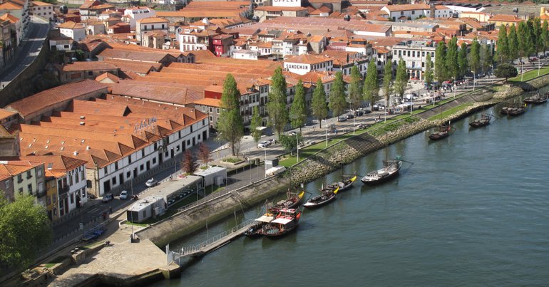 Famílias despejadas após ocupação de casas em Vila Nova de Gaia pedem ajuda - Vimarsana News