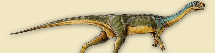 Um gigante chileno: Atacamaticán, um dinossauro herbíforo