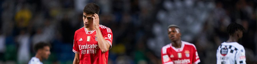 A crónica do Benfica-Vojvodina, 3-2: fica a boa imagem - Voleibol - Jornal  Record