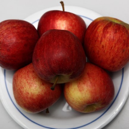 jogo da cobrinha de comer maçã｜Pesquisa do TikTok