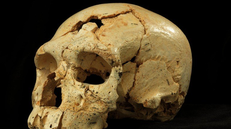 Mandíbula que se pensava ser de neandertal seria de 1º humano europeu, Arqueologia